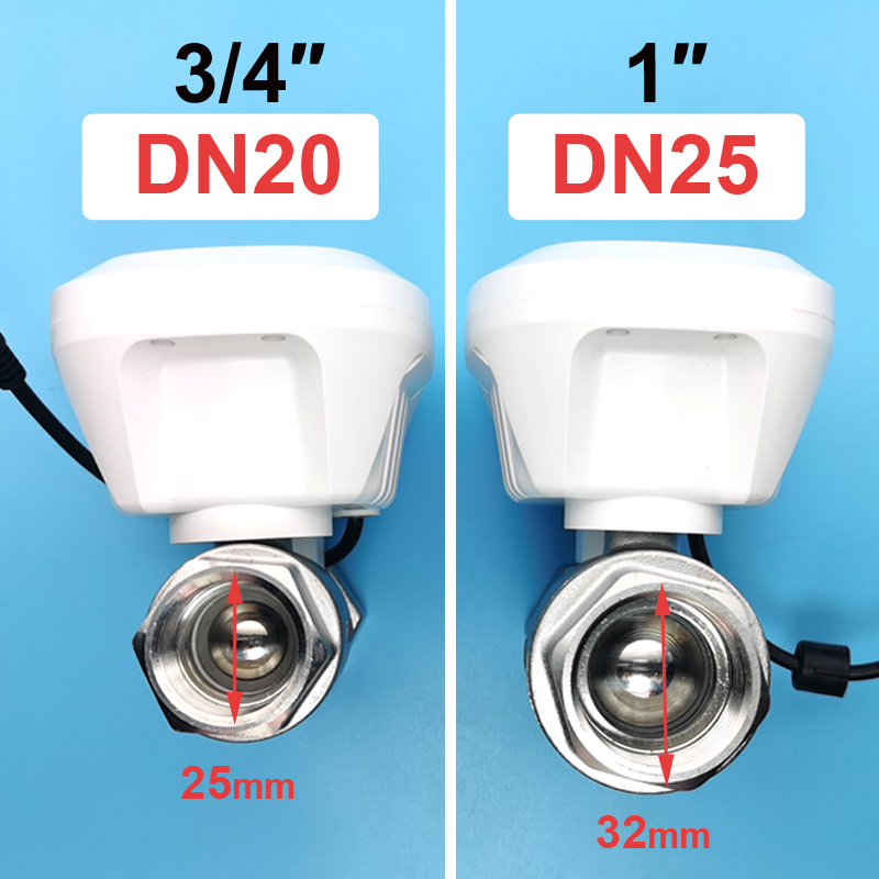 Tuya Smart WiFi Water Valve Wa - Wifi Water Leak Detector ulasan dan harga