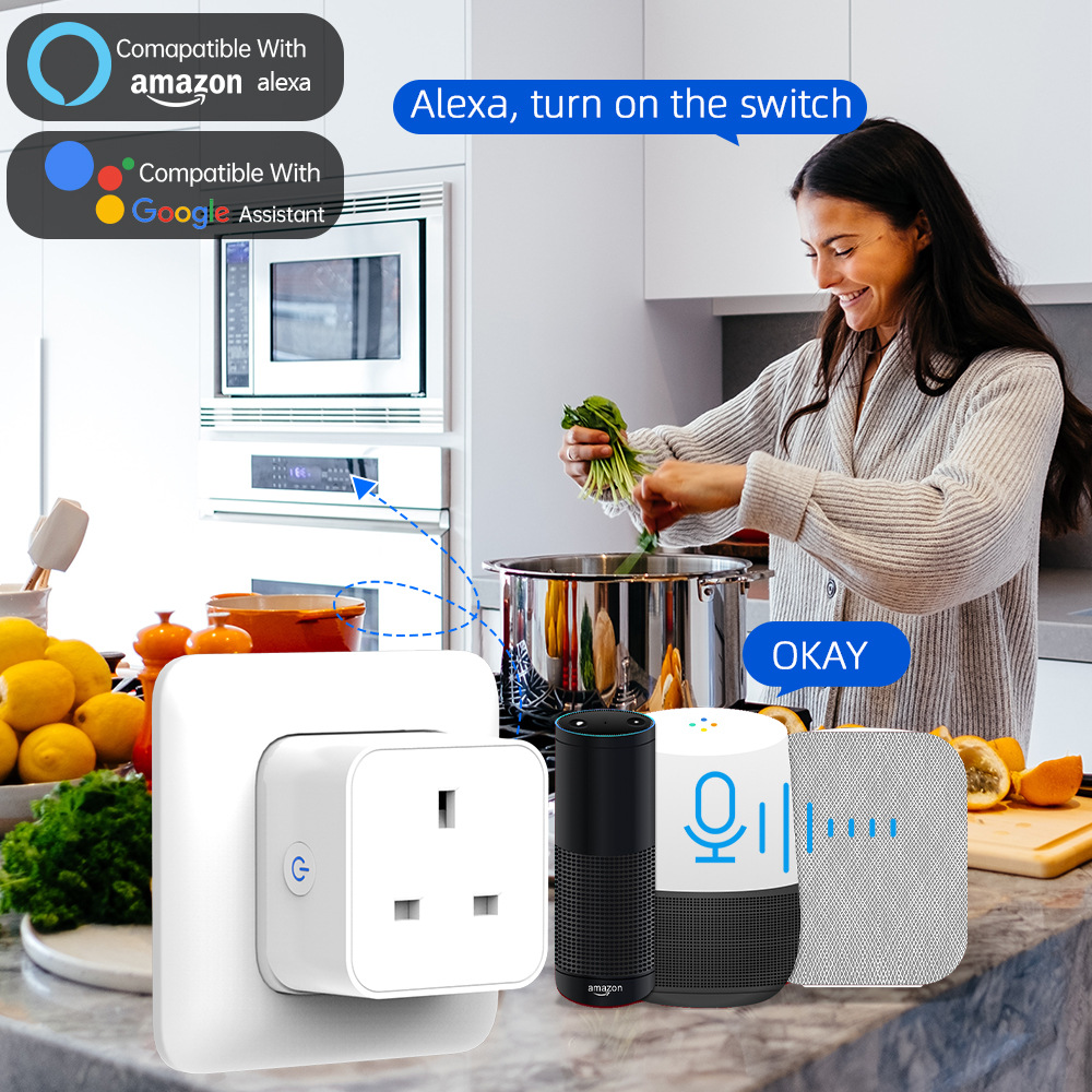 Tuya Smart Socket 16A/20A WiFi - Smart Home Setup ulasan dan harga