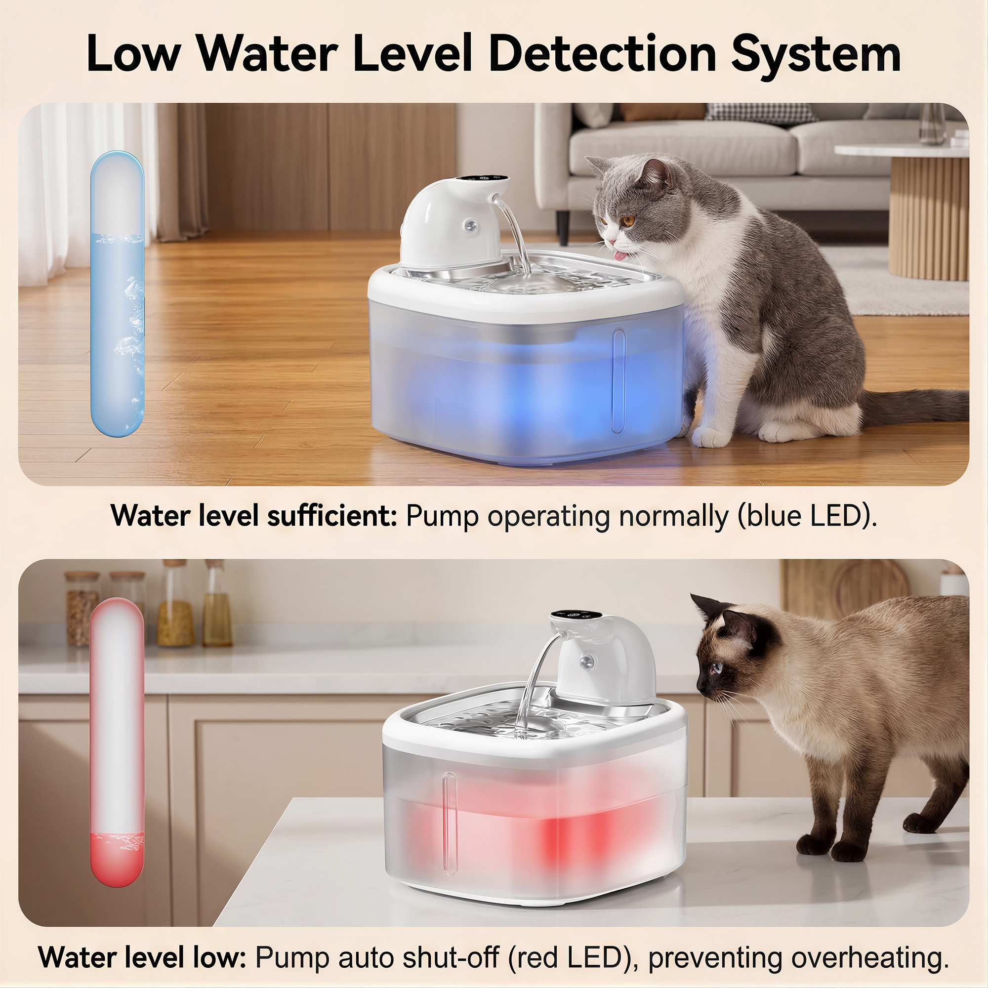 3.5L Wireless Cat Water Founta - Home Smart Kettle ulasan dan harga