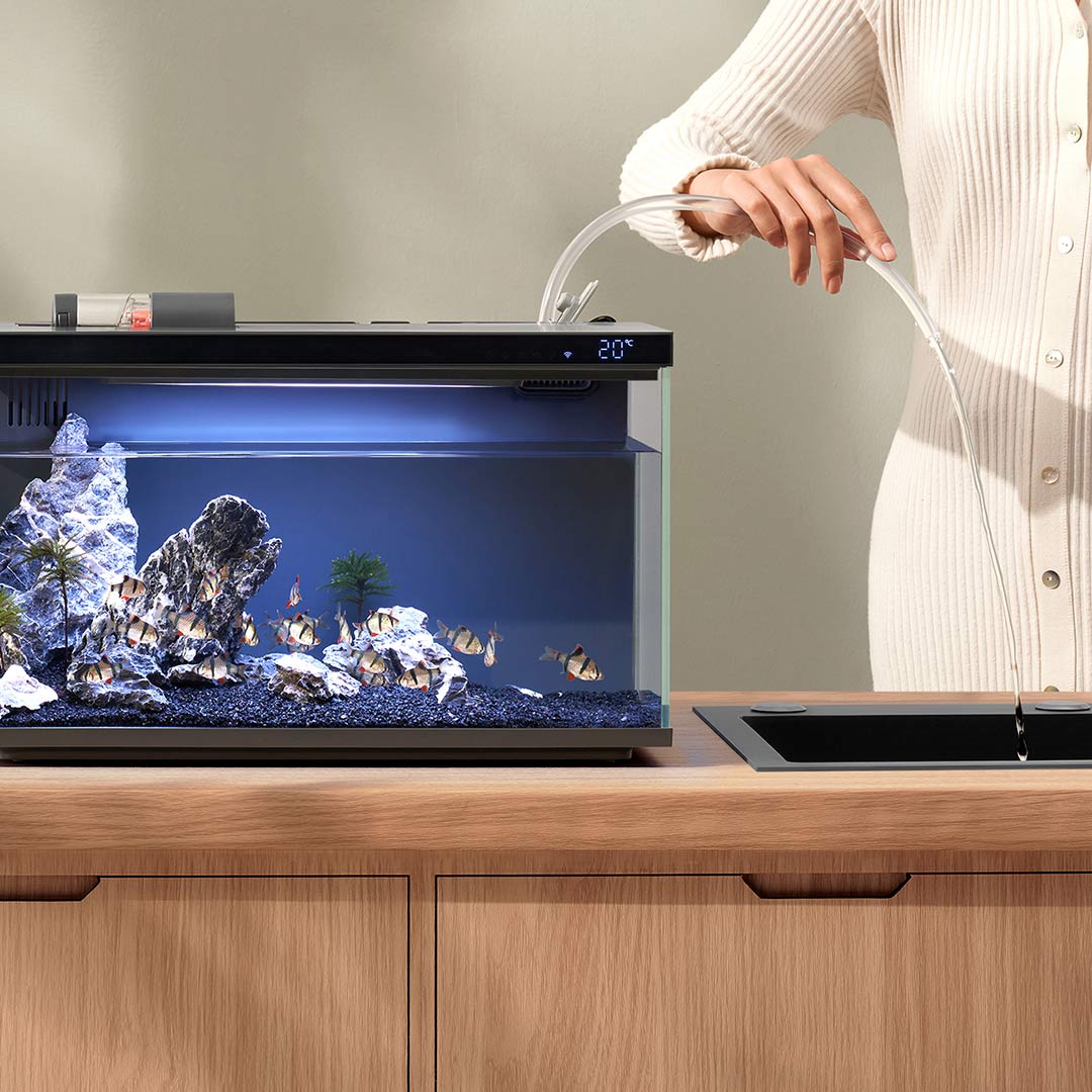 Xiaomi Mijia Smart Fish Tank M - Smart Home Xiaomi Devices ulasan dan harga