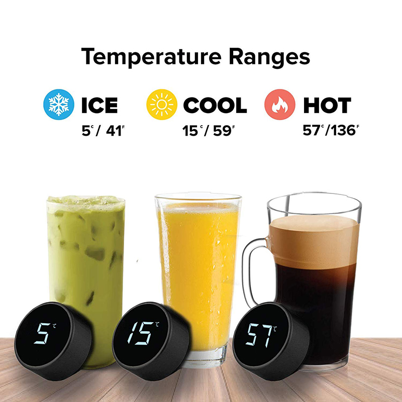 Stainless Steel Smart Water Bo - Home Smart Kettle ulasan dan harga